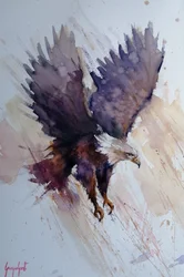 Dynamischer Adlerflug