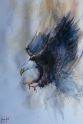 Kraftvoller Adlerflug