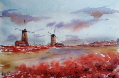 Rote Mohnblumen Windmühlen