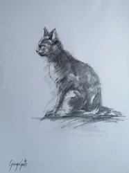Wachsame Kohlekatze