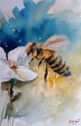 Aquarell Honigbiene auf Blume