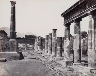 Östliche Kolonnade des Tempels der Venus Pompeiiana in Pompeji