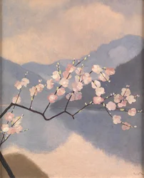 Blüte auf dem See