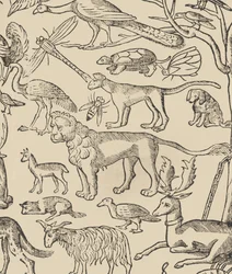 Essempio di recammi, Seite 13 recto, 1530