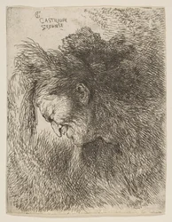 Kopf eines alten Mannes, der nach unten schaut, nach links gewandt, aus der Serie der kleinen Köpfe, ca. 1645-1650