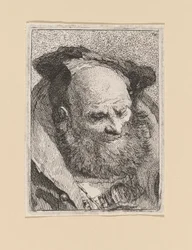 Bärtiger alter Mann, aus der Raccolta di Teste (Sammlung von Köpfen)