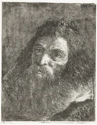 Mann mit langem Haar und Bart