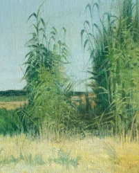 Wasserträger von Livorno