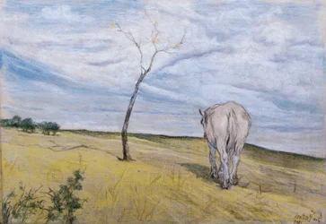 Weißes Pferd