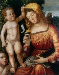 Die Näherin Madonna