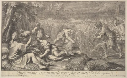 Getreideernter, 1704