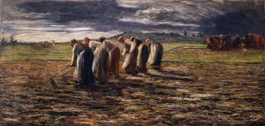 Die Kartoffelernte
