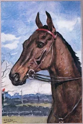 Wie wir den Favoriten geschlagen haben, aus Gedichte von Adam Lindsay Gordon, veröffentlicht von T. N. Foulis, 1912