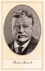 Theodore Roosevelt, 26. Präsident der Vereinigten Staaten