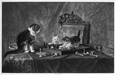 Katzen spielen mit einem Schachbrett