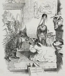 Hund und Stachelschwein, Karikatur von Jean-Jacques Grandville, Lithographie von Giovanni Mariani aus Poliorama Pittoresco, Nr. 38, 30. April