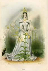 Illustration für 