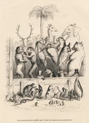 Gespräch zwischen Tieren. Vignetten illustriert von JJ Granville. Gravur signiert Breviere im Prolog "Resume parlementaire" geschrieben von PJ Stahl in "Scenes de la vie privee et publique des animaux". Paris, J. Hetzel et Paulin