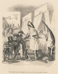 Die Hai-Ärzte erklären ihren chirurgischen Eingriff. Vignetten illustriert von JJ Granville. Gravur signiert Godard in dem Teil "Die Tierärzte" geschrieben von Pierre Bernard in "Szenen aus dem privaten und öffentlichen Leben der Tiere". Paris
