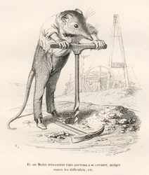 Maus durchbohrt den Boden. Vignetten illustriert von JJ Granville. Gravur signiert Breviere im Teil "Erinnerungen einer alten Krähe" geschrieben von PJ Stahl in "Szenen aus dem privaten und öffentlichen Leben der Tiere". Paris, J. Hetzel und Paulin