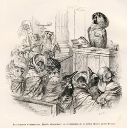 Redegewandter Papagei. Von J. J. Grandville illustrierte Vignetten. Von Porret signierter Stich in dem Abschnitt mit dem Titel „Eselsführer für Tiere, die zu Ehren gelangen wollen“, geschrieben von Honoré de Balzac in „Szenen aus dem Privatleben und