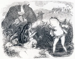 Die zwei Stiere und ein Frosch