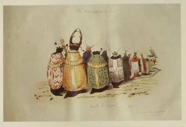 Famille de Scarabees, 1828-29