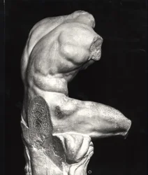Belvedere-Torso