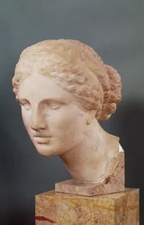 Der Kauffmann-Kopf, Kopf der Aphrodite, Kopie der Aphrodite von Knidos von Praxiteles (tätig 375-40 v. Chr.), um 150 v. Chr.
