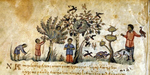 Falkenjagd zur Vogeljagd - in „De Venatione“ von Oppianus, griechisches Manuskript aus dem 13. Jahrhundert. Biblioteca Marciana. Venedig