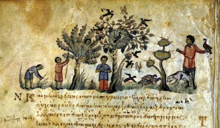 Jagd mit dem Falken und Vogelnester fangen. Griechisches Manuskript von Oppianus De Venatione. 13. Jahrhundert