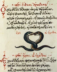 Schlangenkopplung, Test und Miniatur aus De animalium natura et proprietate libellus, von Aelianus