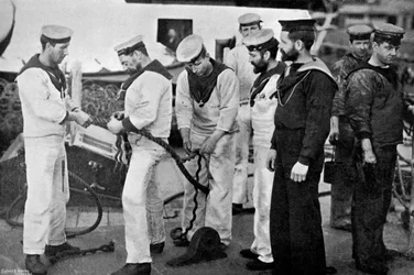 Matrosen bei der Arbeit, ein Seil an Bord des Schlachtschiffs HMS Majestic spleißend, 1896