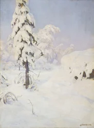 Winter im Wald