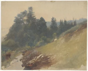 Berghang mit Kiefern