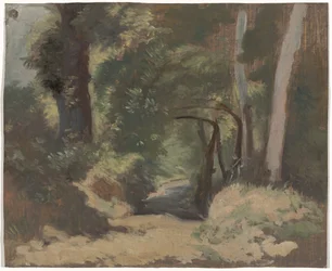 Waldweg