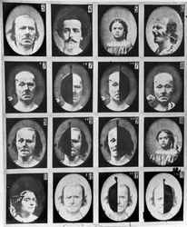Physiognomische Studien, aus 