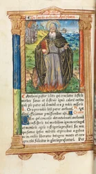 Gedrucktes Stundenbuch (Gebrauch von Rom): fol. 104v, St. Antonius Abt