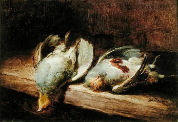 Rebhühner