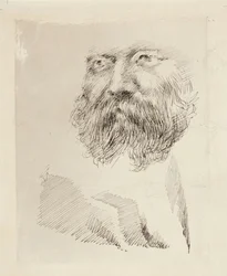 Direktor C. A. Zitting, Porträtstudie, Gesicht