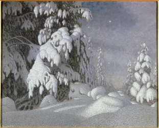 Wintermondlicht
