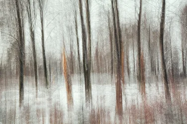 Abstrakter Winterwald