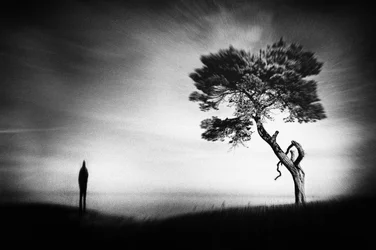 Einsame Figur Einsamer Baum