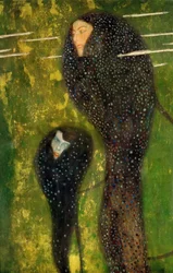 Nymphen Silberfisch