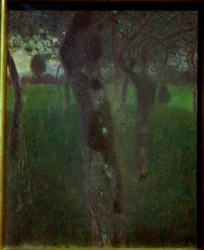 Obstgarten am Abend