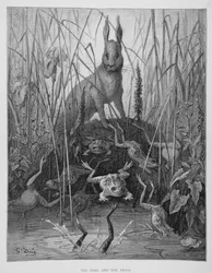 Der Hase und die Frösche, aus 