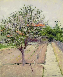 Apfelbaum in Blüte, ca. 1885