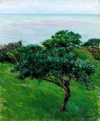 Apfelbäume am Meer, Trouville, 1880