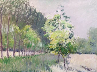 Obstgarten und Baumallee