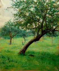 Obstgarten, auch Obstgarten in der Normandie genannt
